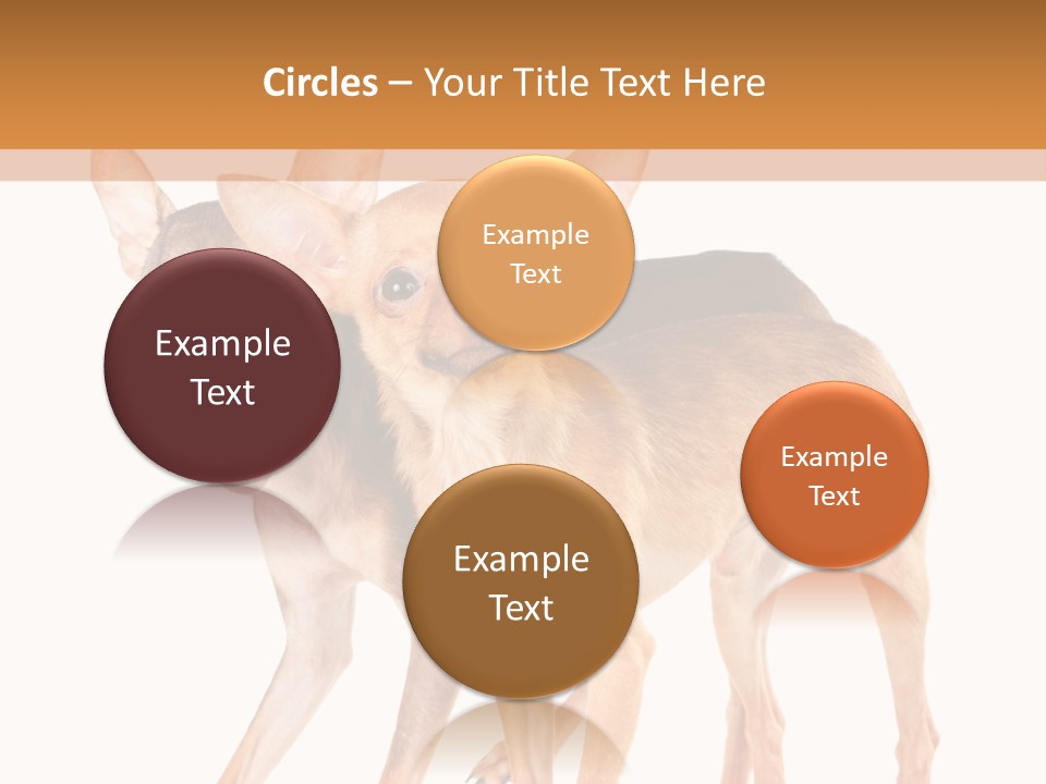 Two Small Dogs Standing Next To Each Other PowerPoint Template