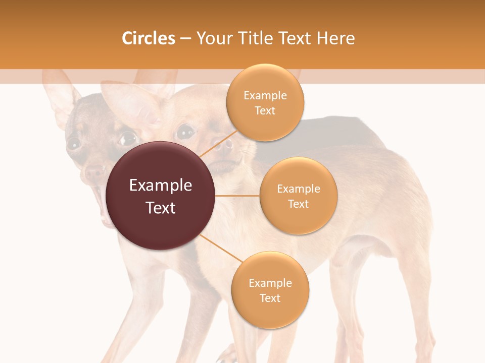 Two Small Dogs Standing Next To Each Other PowerPoint Template