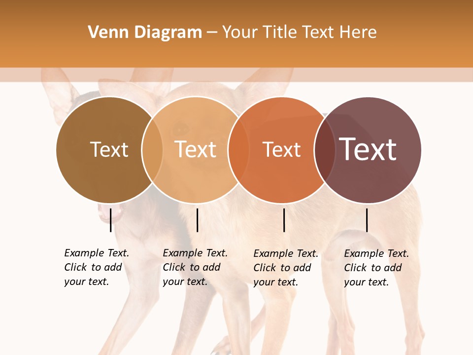 Two Small Dogs Standing Next To Each Other PowerPoint Template
