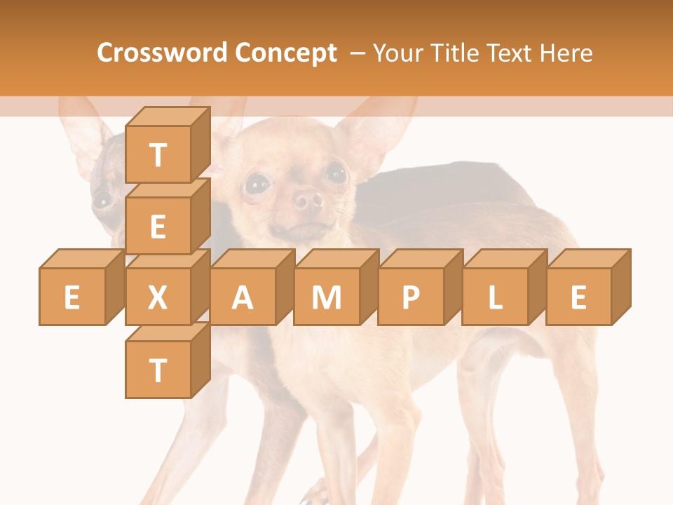 Two Small Dogs Standing Next To Each Other PowerPoint Template