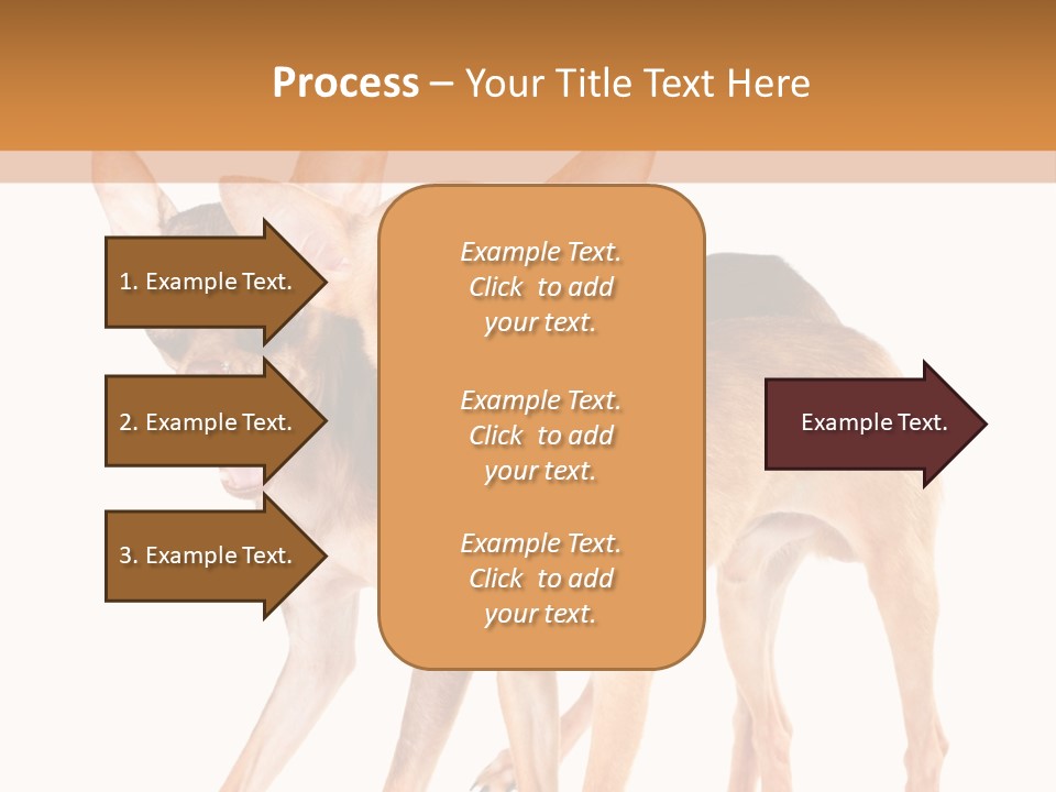 Two Small Dogs Standing Next To Each Other PowerPoint Template