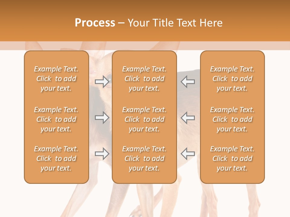 Two Small Dogs Standing Next To Each Other PowerPoint Template