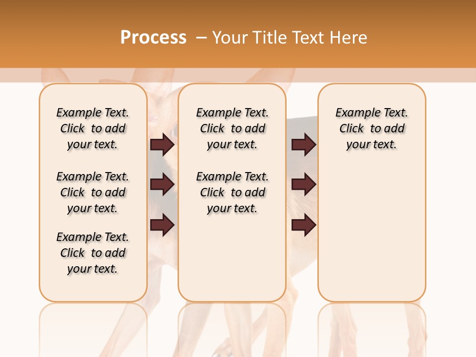 Two Small Dogs Standing Next To Each Other PowerPoint Template