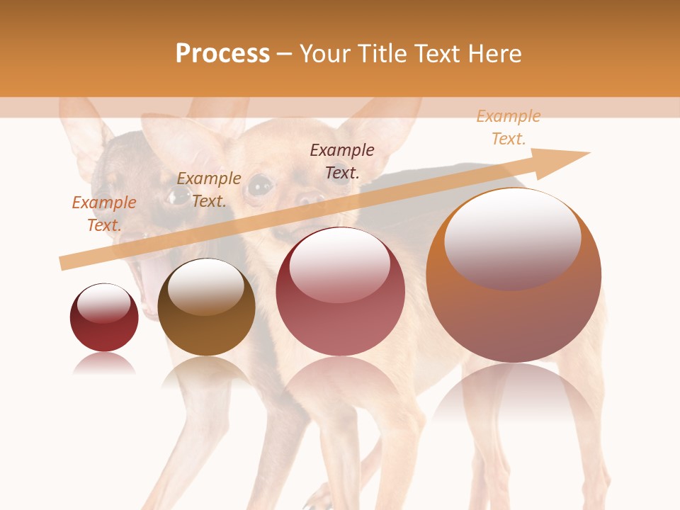 Two Small Dogs Standing Next To Each Other PowerPoint Template