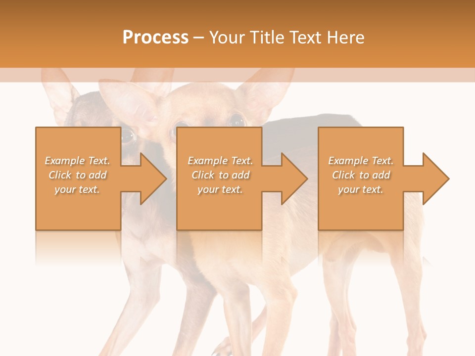 Two Small Dogs Standing Next To Each Other PowerPoint Template
