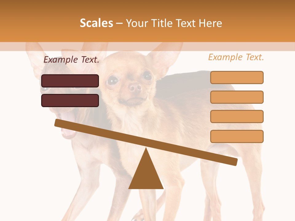 Two Small Dogs Standing Next To Each Other PowerPoint Template