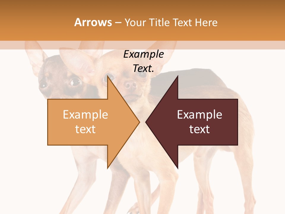 Two Small Dogs Standing Next To Each Other PowerPoint Template