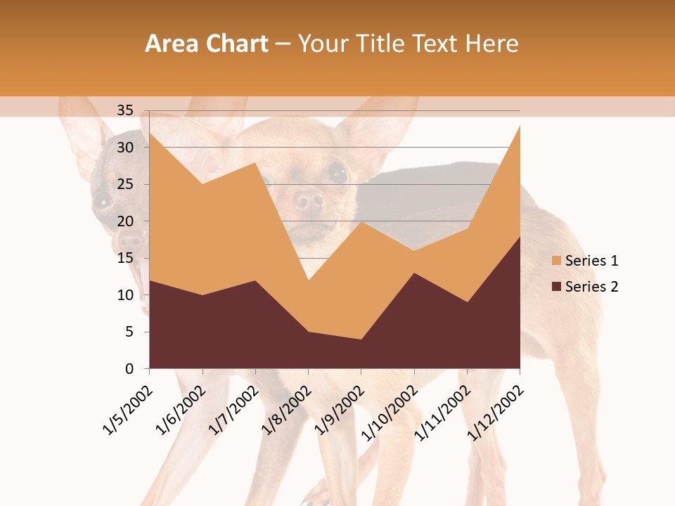 Two Small Dogs Standing Next To Each Other PowerPoint Template