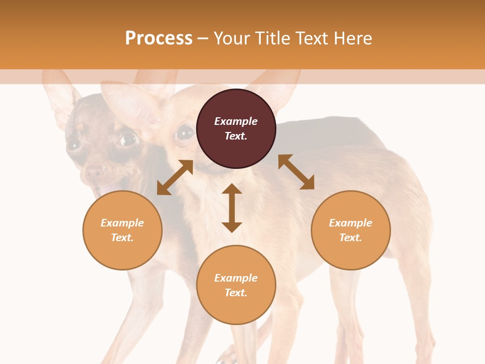 Two Small Dogs Standing Next To Each Other PowerPoint Template