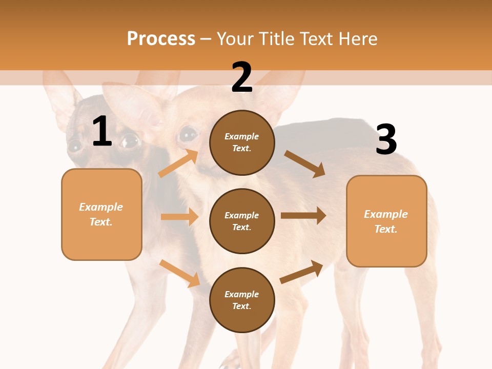 Two Small Dogs Standing Next To Each Other PowerPoint Template