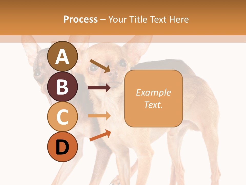 Two Small Dogs Standing Next To Each Other PowerPoint Template