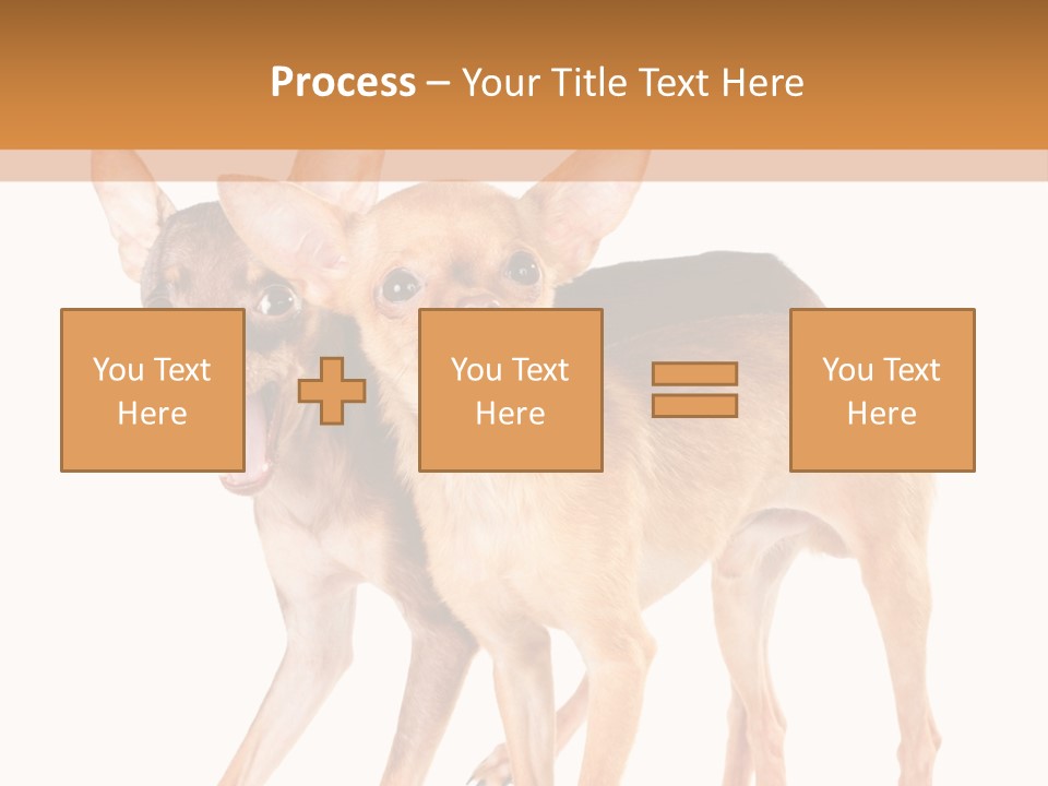 Two Small Dogs Standing Next To Each Other PowerPoint Template