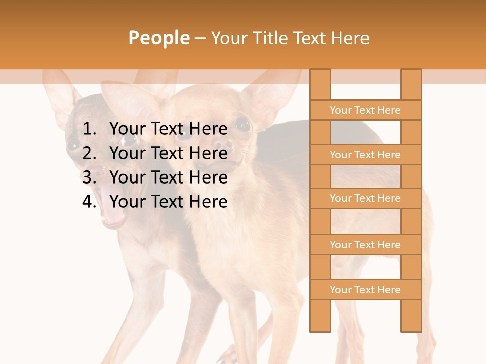 Two Small Dogs Standing Next To Each Other PowerPoint Template