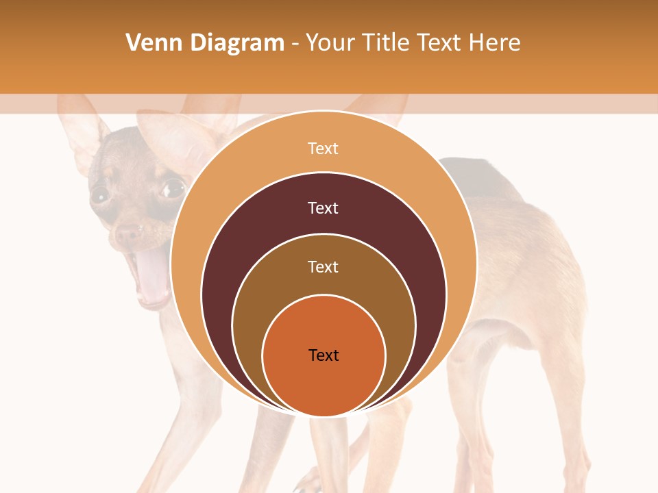 Two Small Dogs Standing Next To Each Other PowerPoint Template