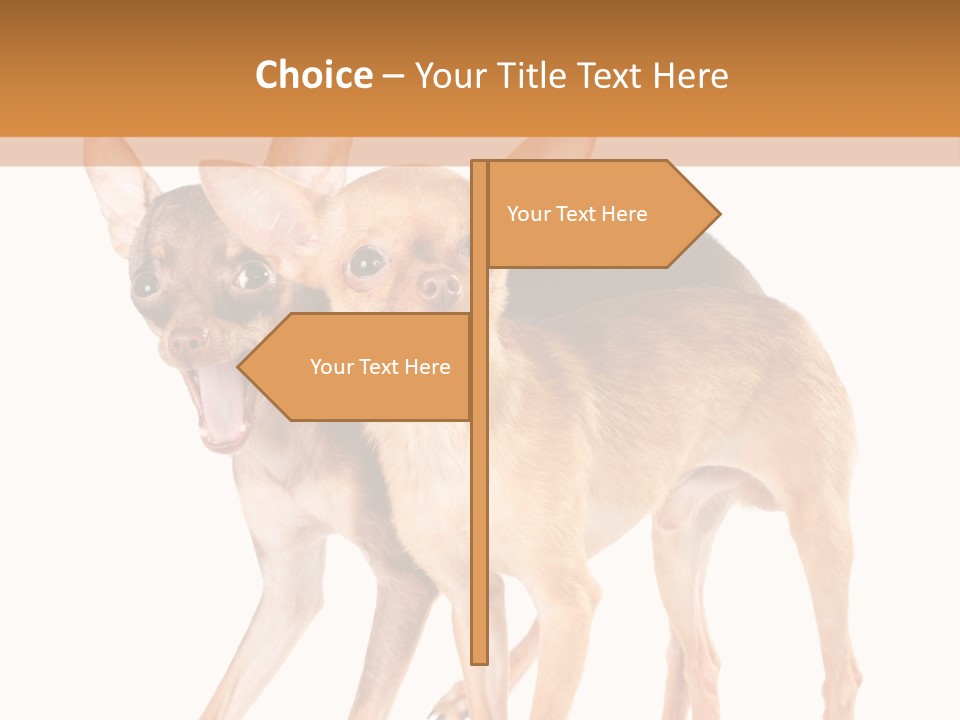 Two Small Dogs Standing Next To Each Other PowerPoint Template