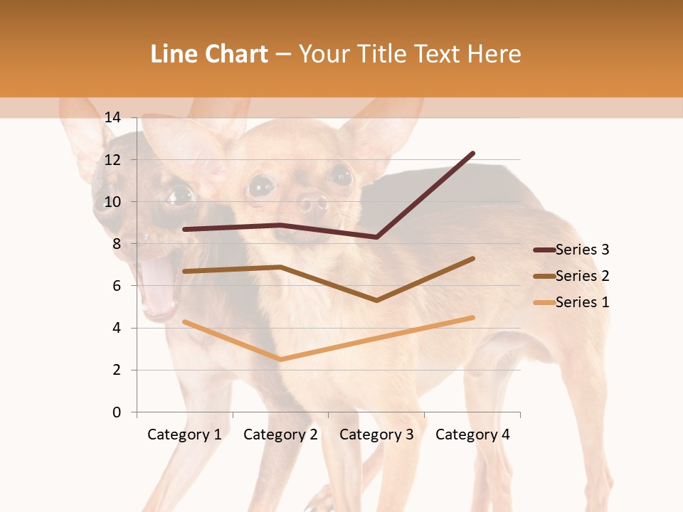 Two Small Dogs Standing Next To Each Other PowerPoint Template