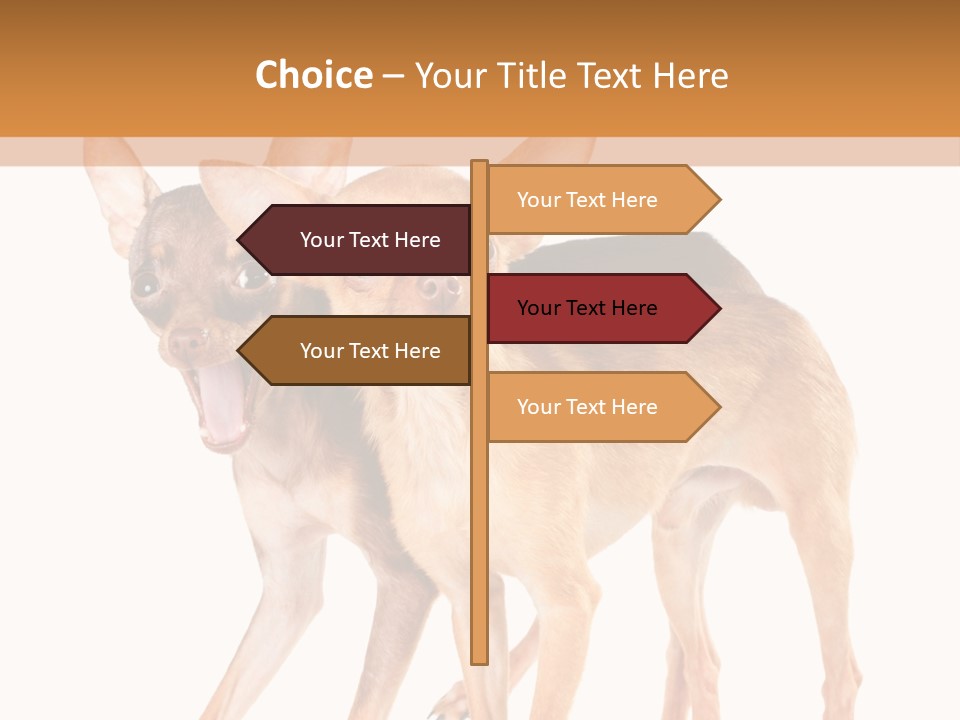 Two Small Dogs Standing Next To Each Other PowerPoint Template