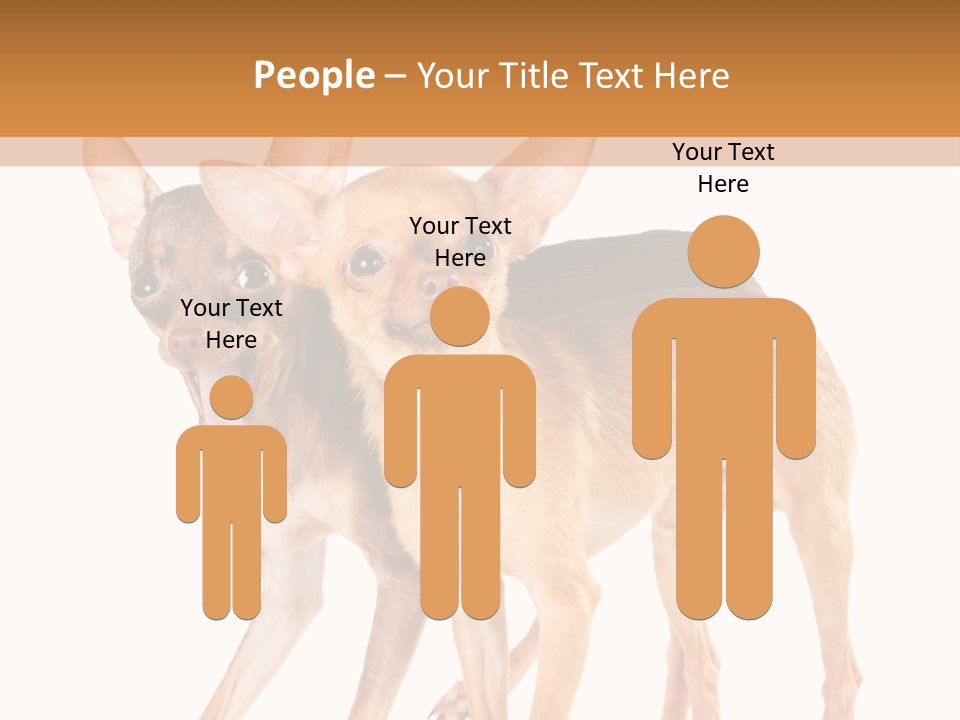 Two Small Dogs Standing Next To Each Other PowerPoint Template