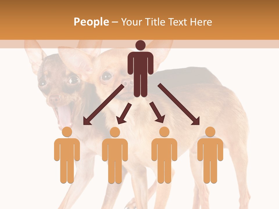 Two Small Dogs Standing Next To Each Other PowerPoint Template