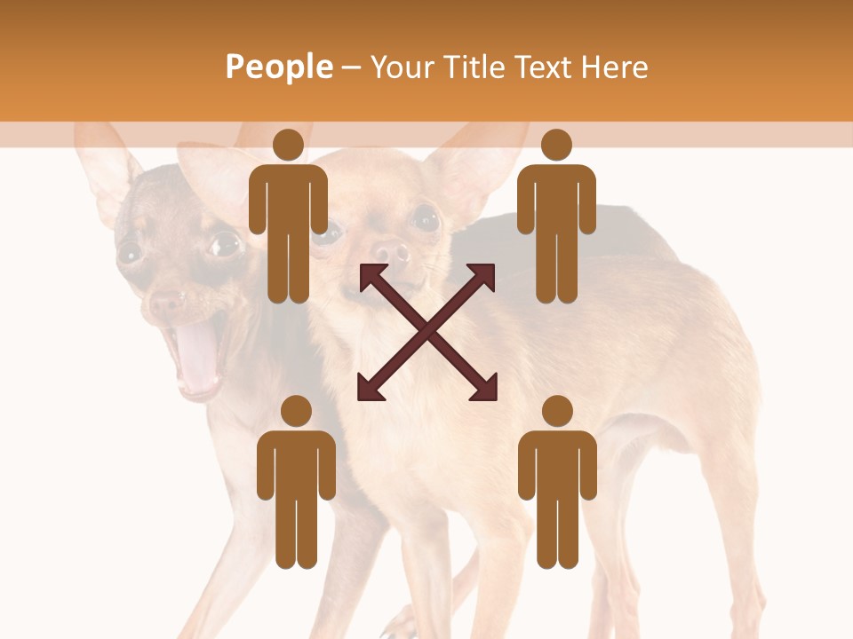 Two Small Dogs Standing Next To Each Other PowerPoint Template
