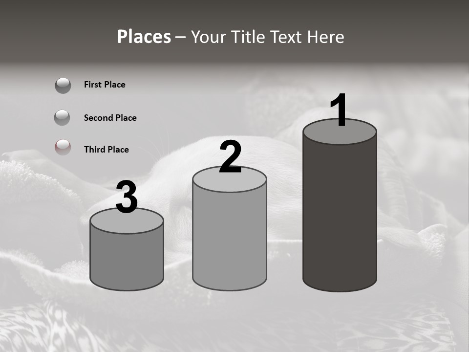 Cute Puppy Home PowerPoint Template