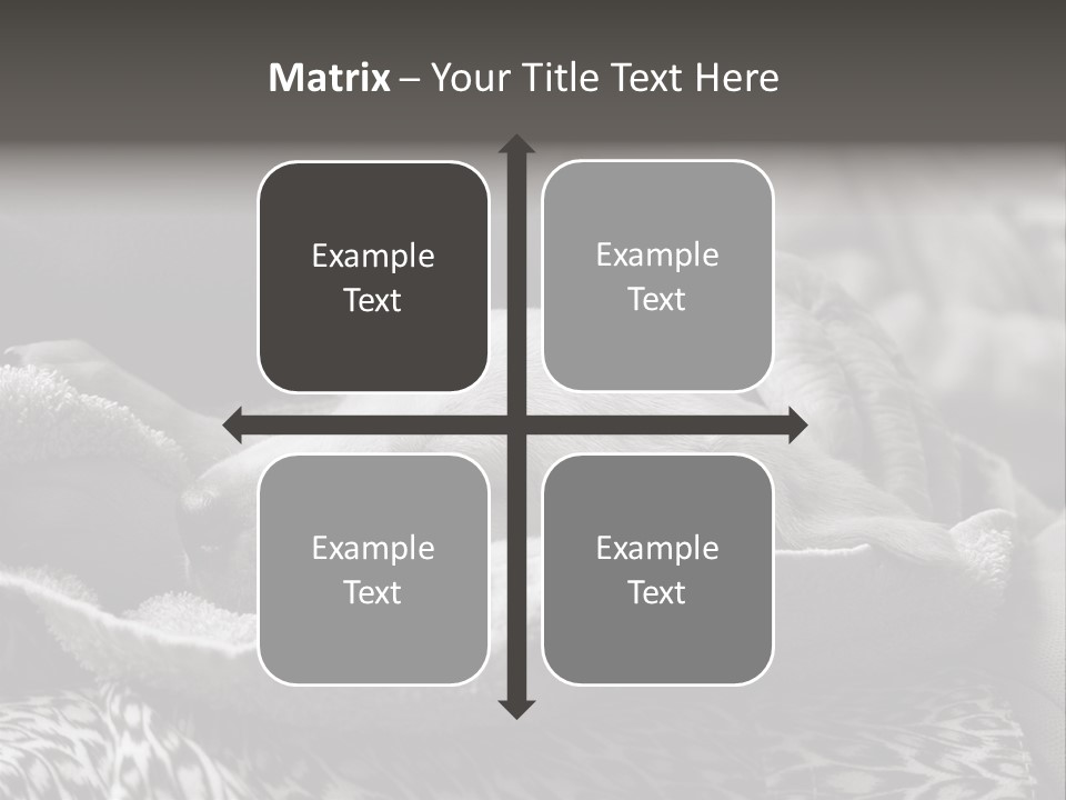 Cute Puppy Home PowerPoint Template