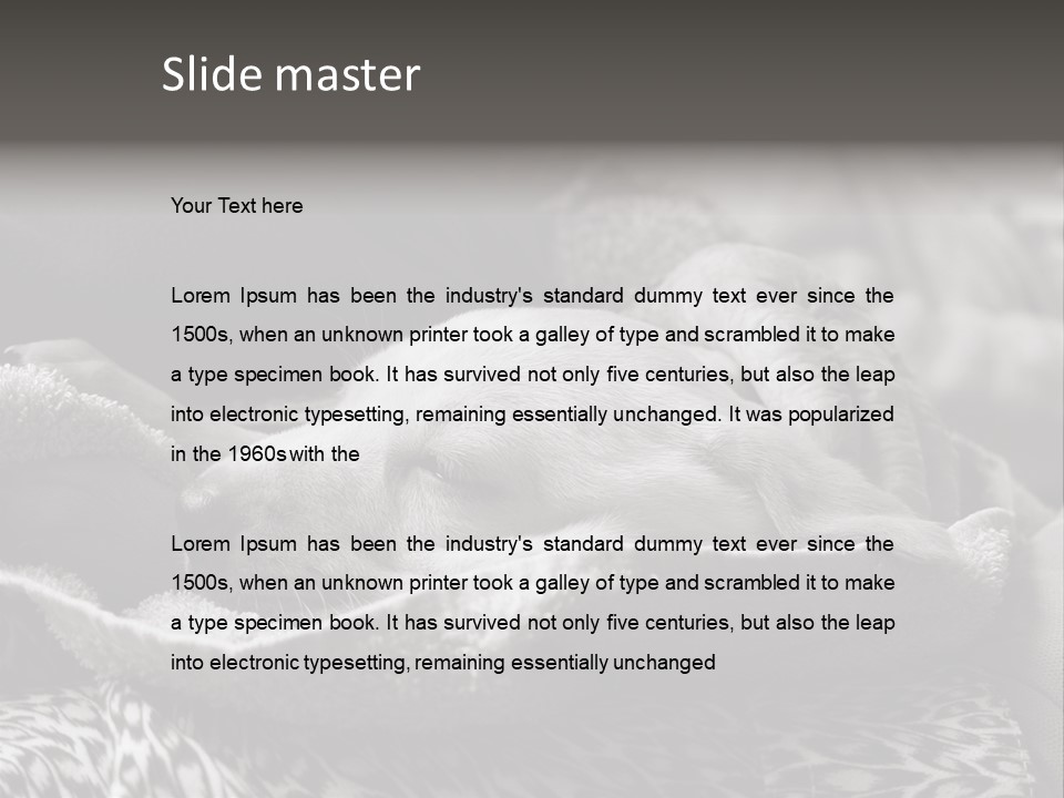 Cute Puppy Home PowerPoint Template