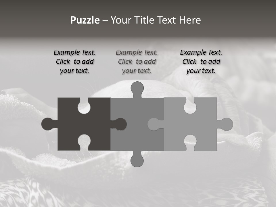 Cute Puppy Home PowerPoint Template