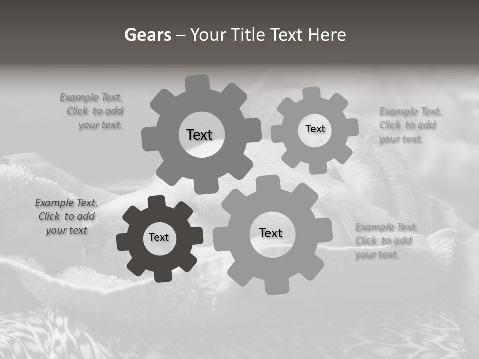 Cute Puppy Home PowerPoint Template