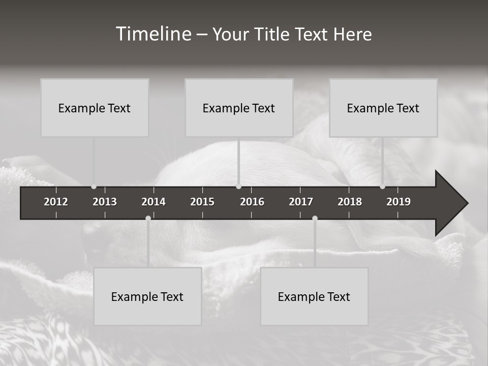 Cute Puppy Home PowerPoint Template