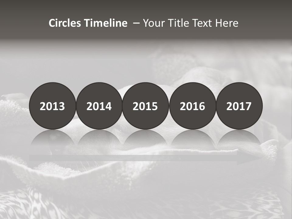 Cute Puppy Home PowerPoint Template