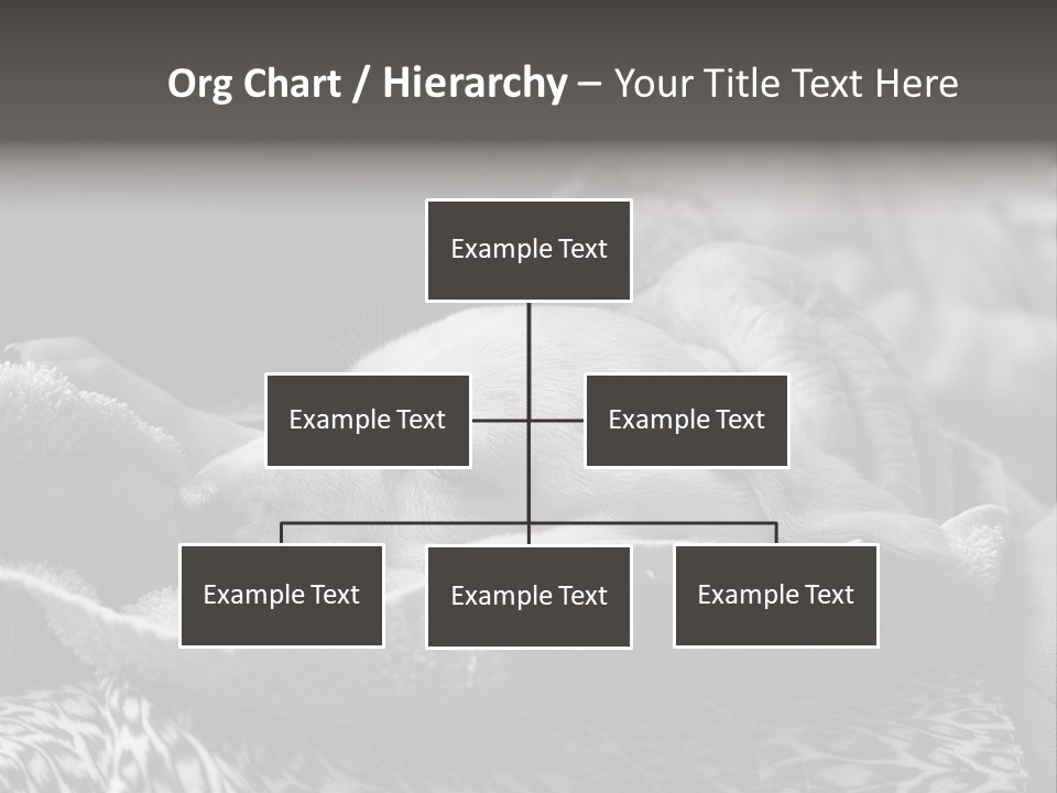 Cute Puppy Home PowerPoint Template