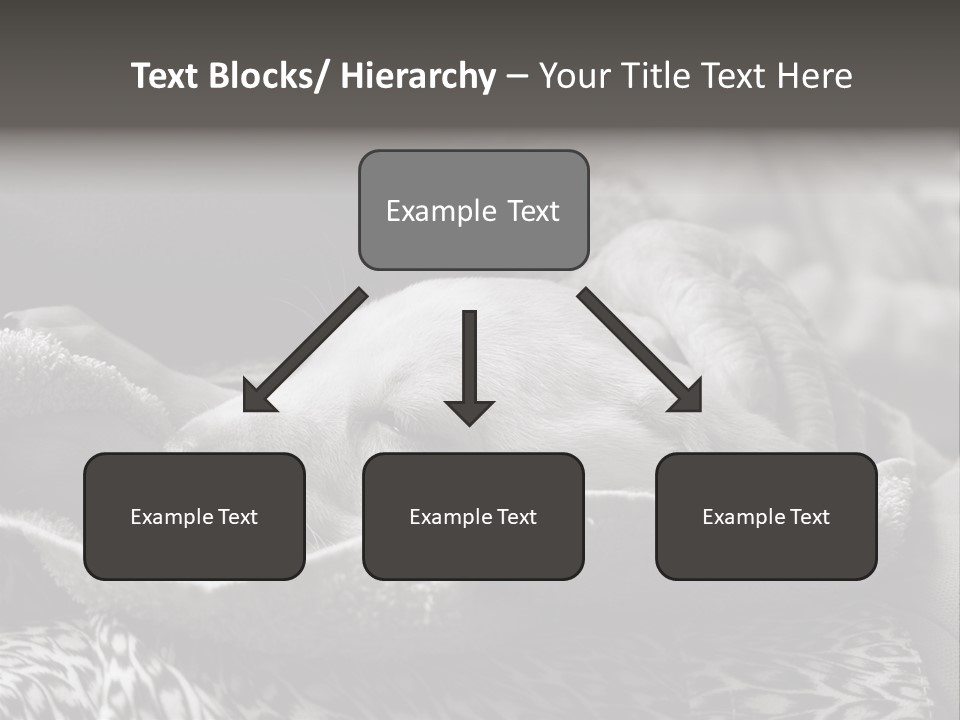 Cute Puppy Home PowerPoint Template