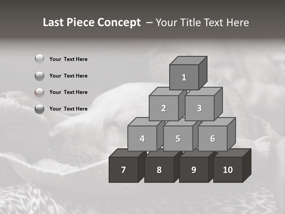 Cute Puppy Home PowerPoint Template