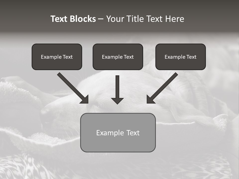 Cute Puppy Home PowerPoint Template
