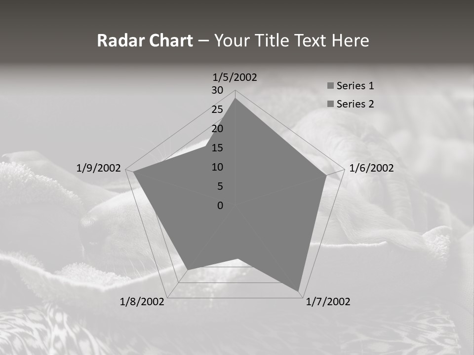 Cute Puppy Home PowerPoint Template