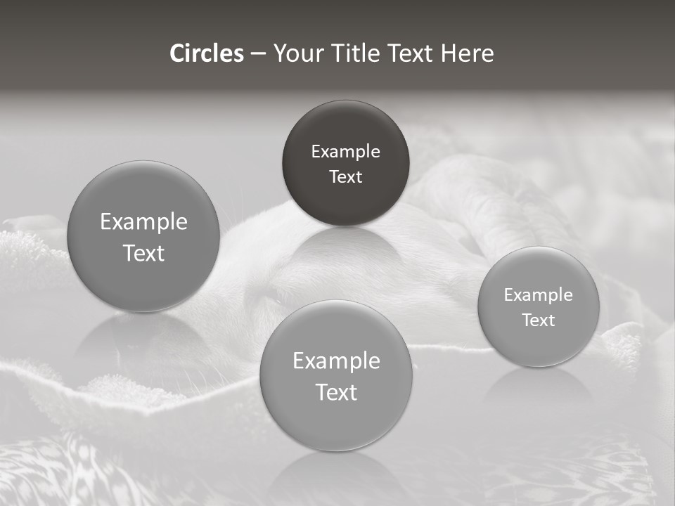 Cute Puppy Home PowerPoint Template