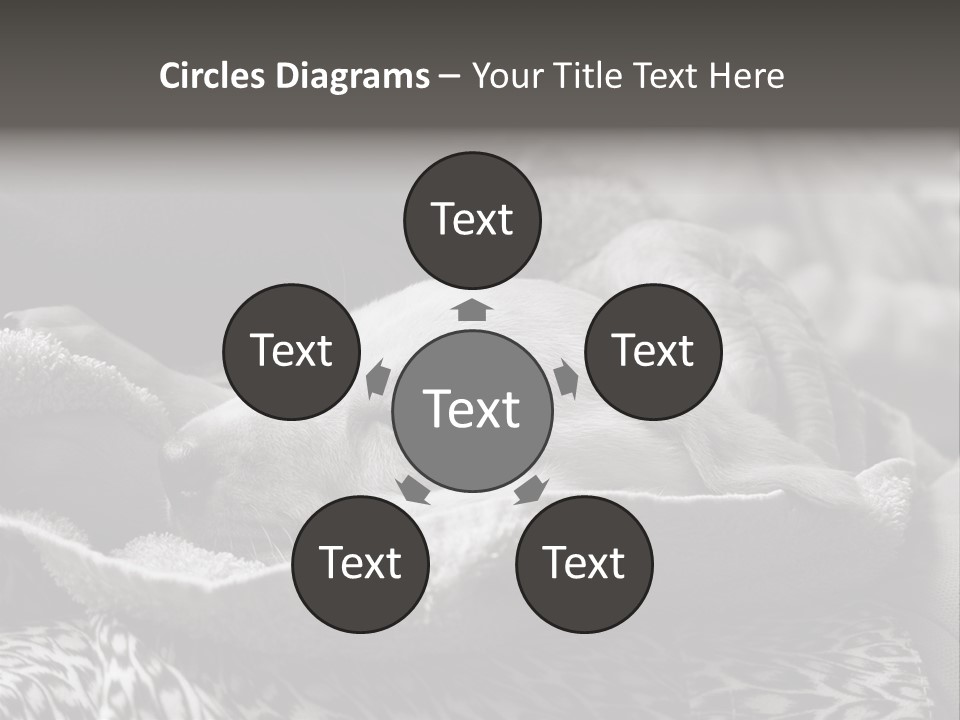 Cute Puppy Home PowerPoint Template