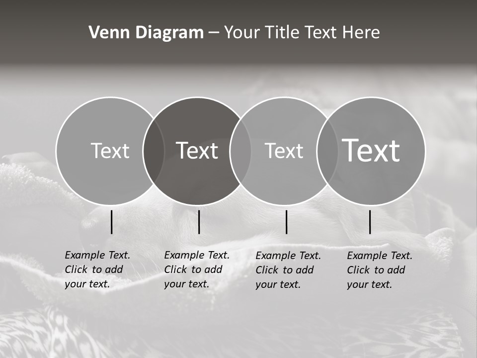 Cute Puppy Home PowerPoint Template