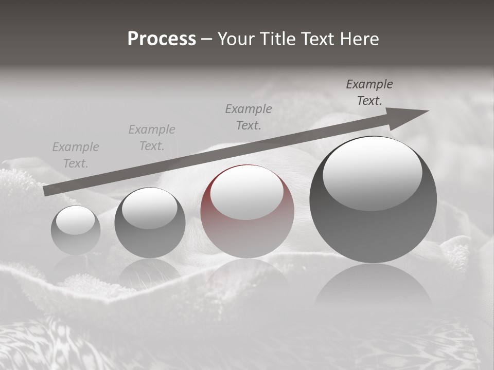 Cute Puppy Home PowerPoint Template