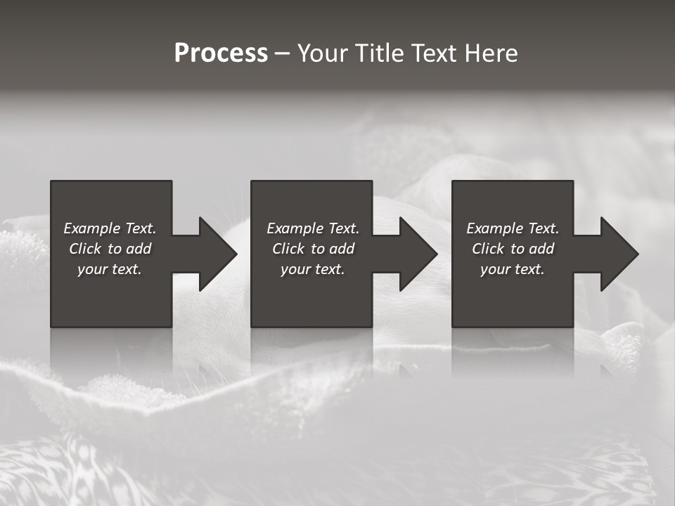 Cute Puppy Home PowerPoint Template