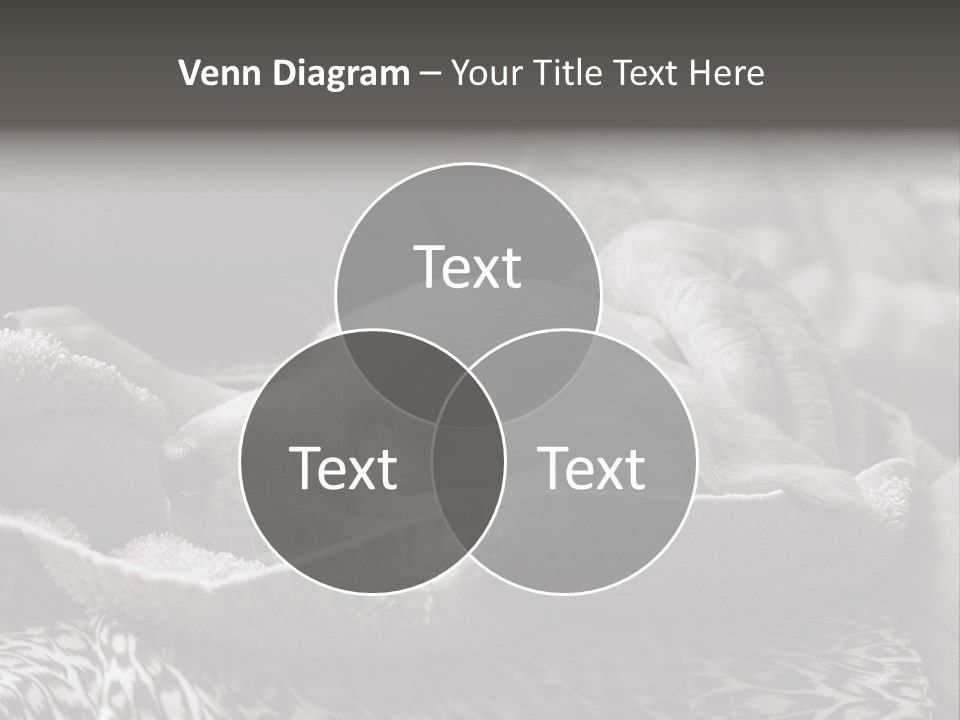 Cute Puppy Home PowerPoint Template