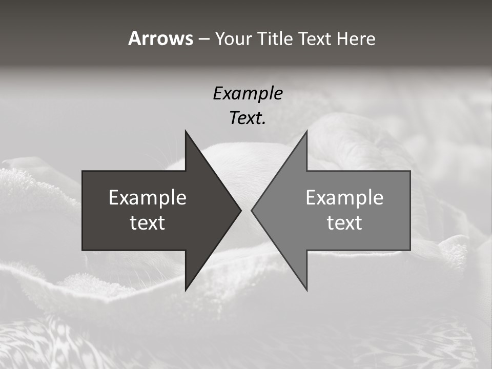 Cute Puppy Home PowerPoint Template