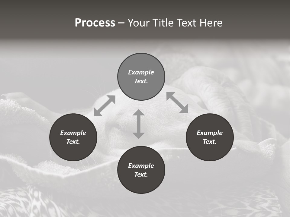 Cute Puppy Home PowerPoint Template