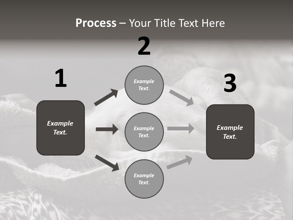 Cute Puppy Home PowerPoint Template