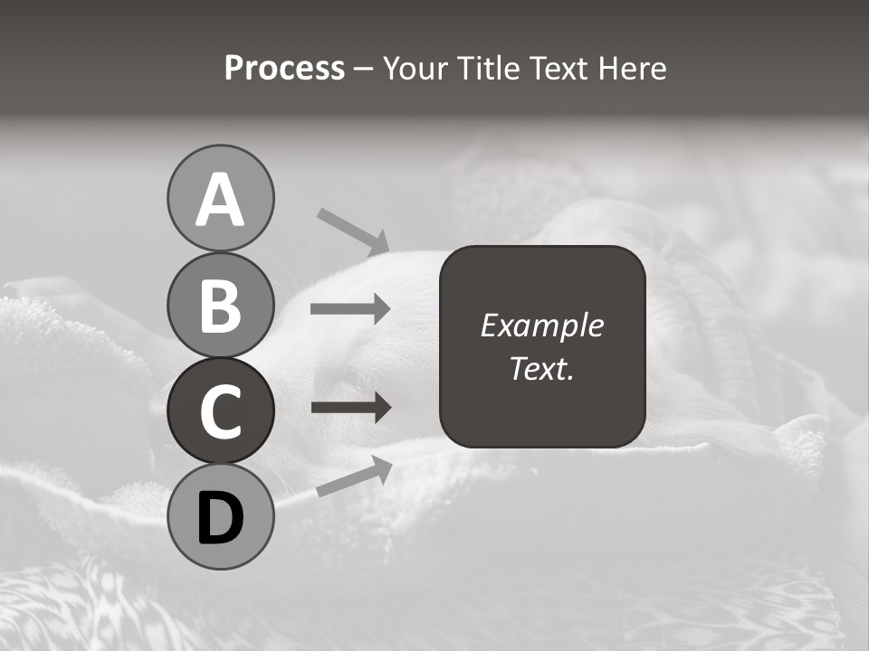 Cute Puppy Home PowerPoint Template