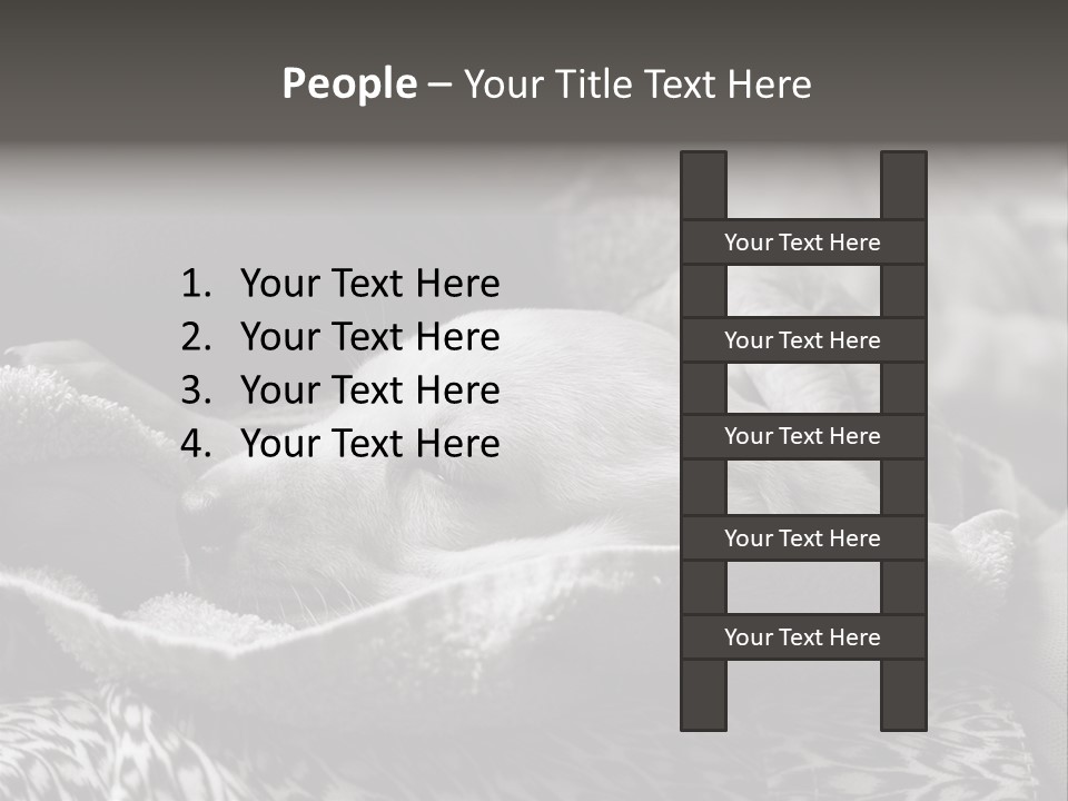 Cute Puppy Home PowerPoint Template