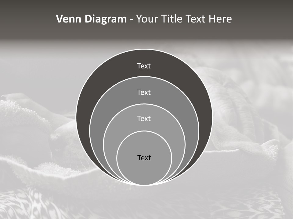 Cute Puppy Home PowerPoint Template