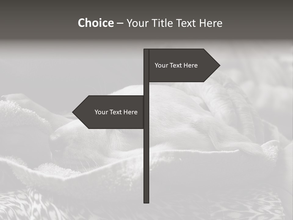 Cute Puppy Home PowerPoint Template