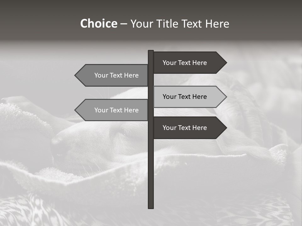 Cute Puppy Home PowerPoint Template